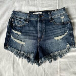 Eunina Blue Distressed Jean Shorts